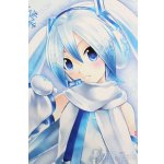 画像: DD/雪ミク S-25-06-08-101-GN-ZS