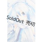 画像: DD/雪ミク S-25-10-05-462-GN-ZS