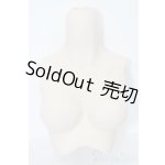 画像: DDS/上半身パーツ S-25-06-15-021-GN-ZS
