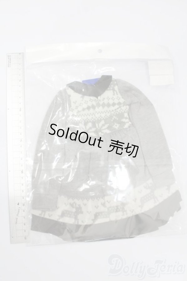 画像2: SD/OF:イヤーマフ・ノルディックセット S-25-08-03-428-GN-ZS (2)