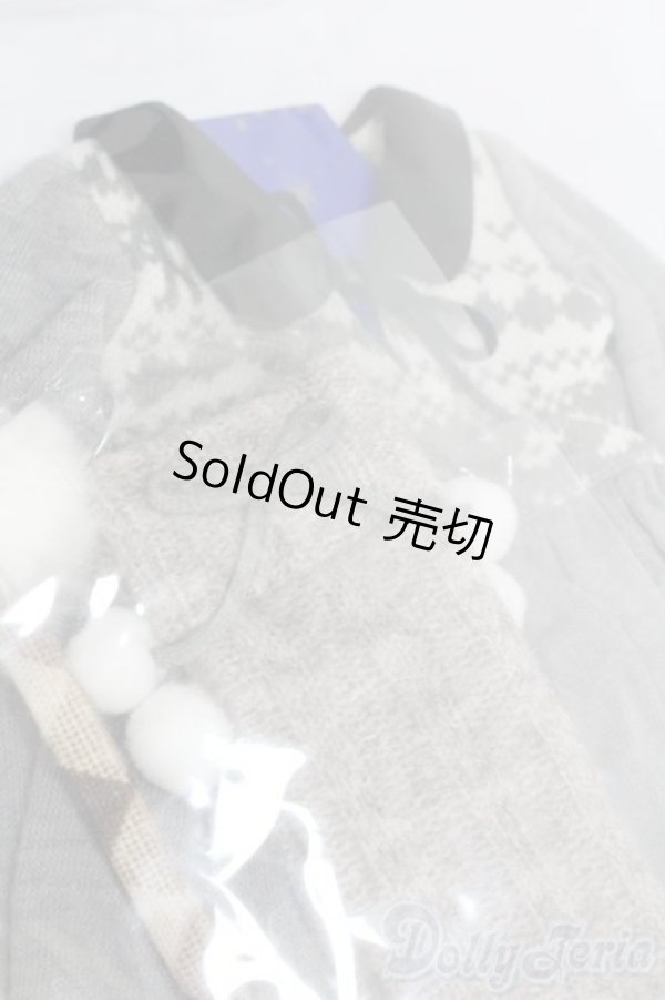 画像3: SD/OF:イヤーマフ・ノルディックセット S-25-08-03-428-GN-ZS (3)