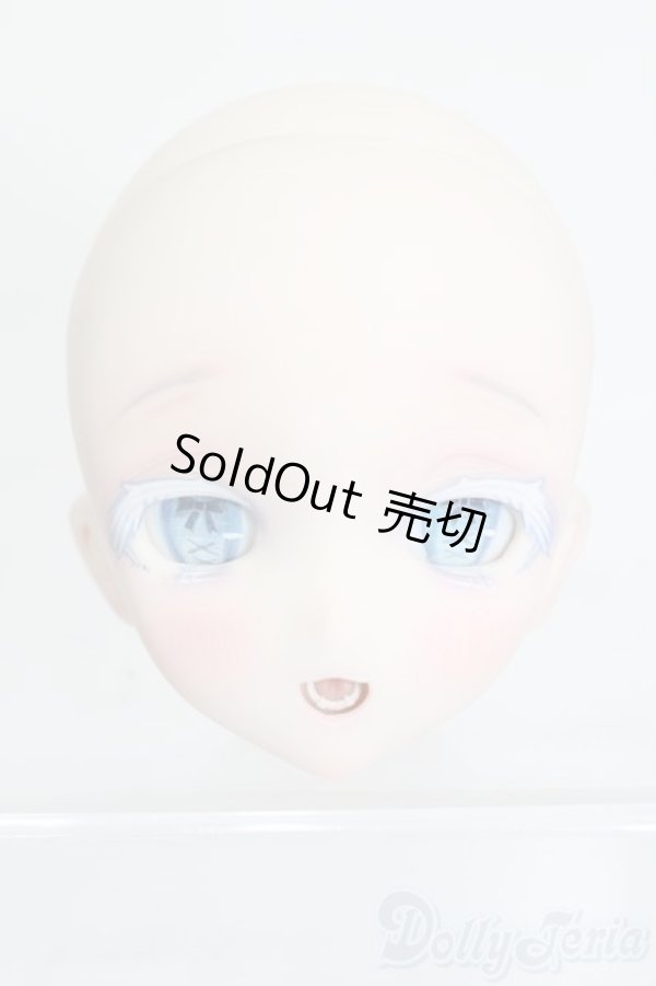 画像1: DD/DDH-10 MITAN様カスタムヘッド S-25-12-21-384-GN-ZS (1)