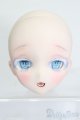 画像: DD/DDH-10 MITAN様カスタムヘッド S-25-07-13-034-GN-ZS