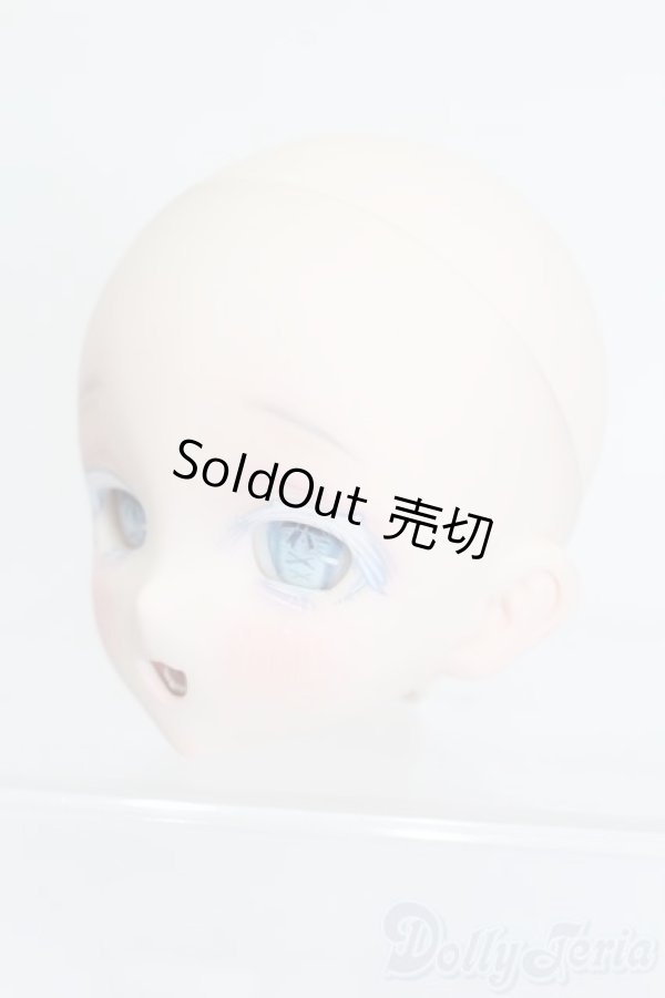 画像2: DD/DDH-10 MITAN様カスタムヘッド S-25-12-21-384-GN-ZS (2)