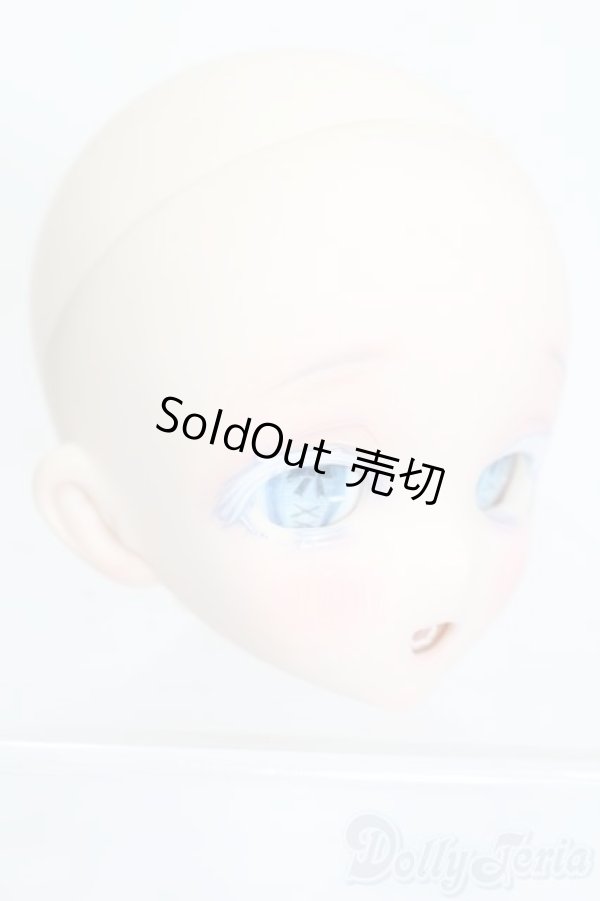 画像3: DD/DDH-10 MITAN様カスタムヘッド S-25-12-21-384-GN-ZS (3)