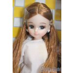 画像: リカちゃんキャッスル/2014年度版クリスマスモデルリカちゃん S-25-09-21-346-YB-ZS