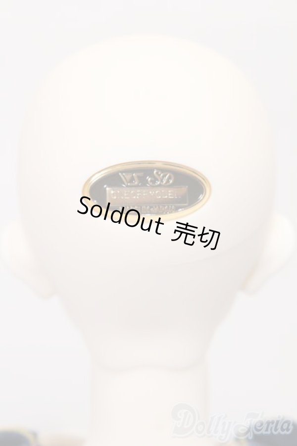 画像5: SDGr男の子/ワンオフモデル F-105(Luluco様) S-25-11-23-654-TO-ZS (5)