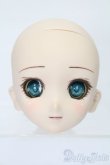 画像1: DD/DDH-06カスタムヘッド S-25-08-10-016-YB-ZS (1)