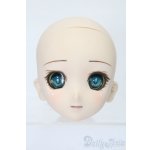 画像: DD/DDH-06カスタムヘッド S-25-08-10-016-YB-ZS