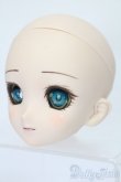 画像2: DD/DDH-06カスタムヘッド S-25-08-10-016-YB-ZS (2)
