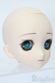 画像3: DD/DDH-06カスタムヘッド S-25-08-10-016-YB-ZS (3)