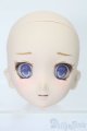 画像: DD/DDH-06カスタムヘッド S-25-08-10-015-YB-ZS