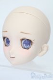 画像2: DD/DDH-06カスタムヘッド S-25-08-10-015-YB-ZS (2)
