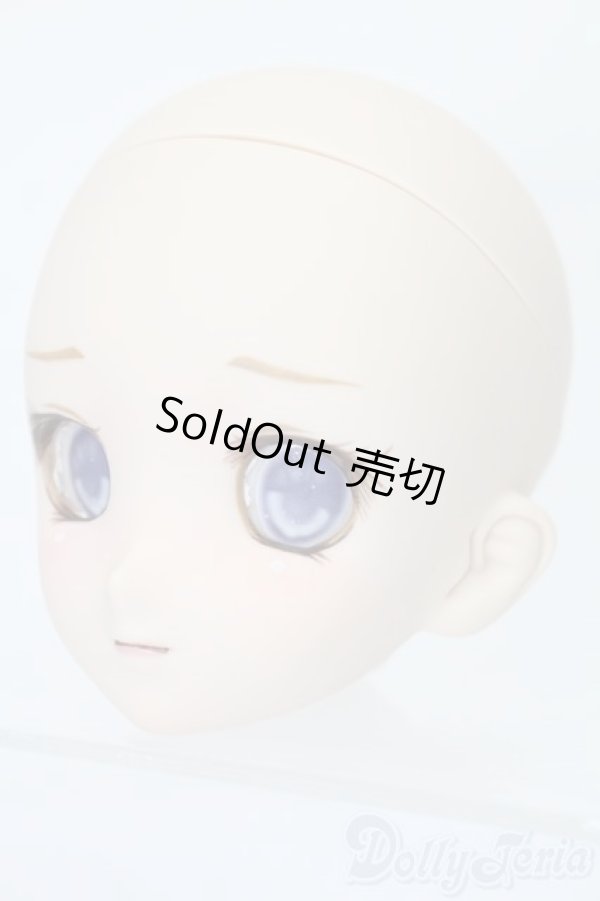 画像2: DD/DDH-06カスタムヘッド S-26-01-18-364-YB-ZS (2)