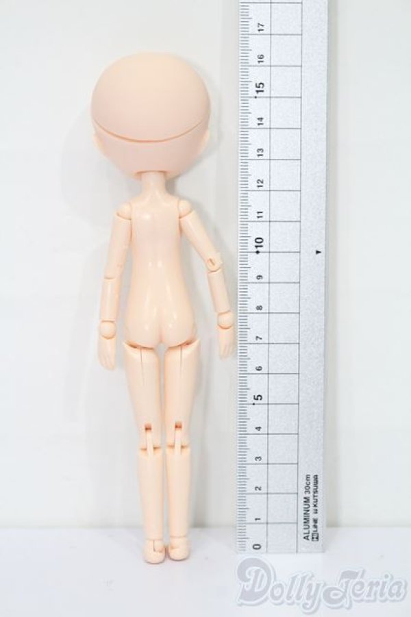 画像6: パラボックル/lボックルヘッド・ボディ S-25-08-10-018-TO-ZS (6)