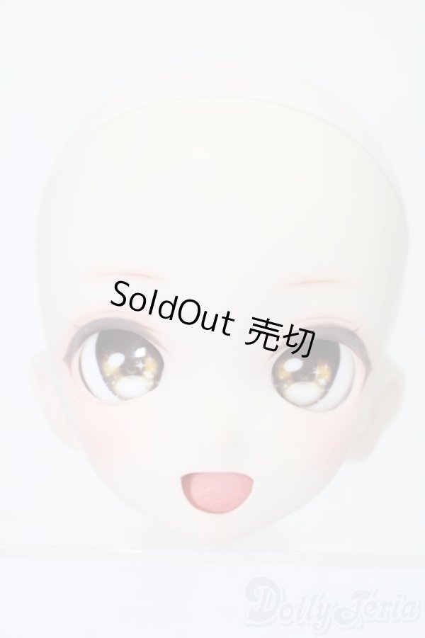 画像1: DD/DDH-10カスタムヘッド S-25-11-02-517-TO-ZS (1)