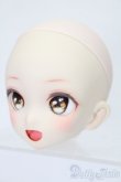画像2: DD/DDH-10カスタムヘッド S-25-08-10-017-TO-ZS (2)