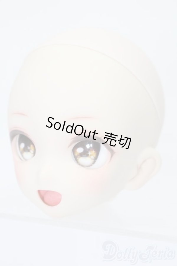 画像2: DD/DDH-10カスタムヘッド S-25-11-02-517-TO-ZS (2)