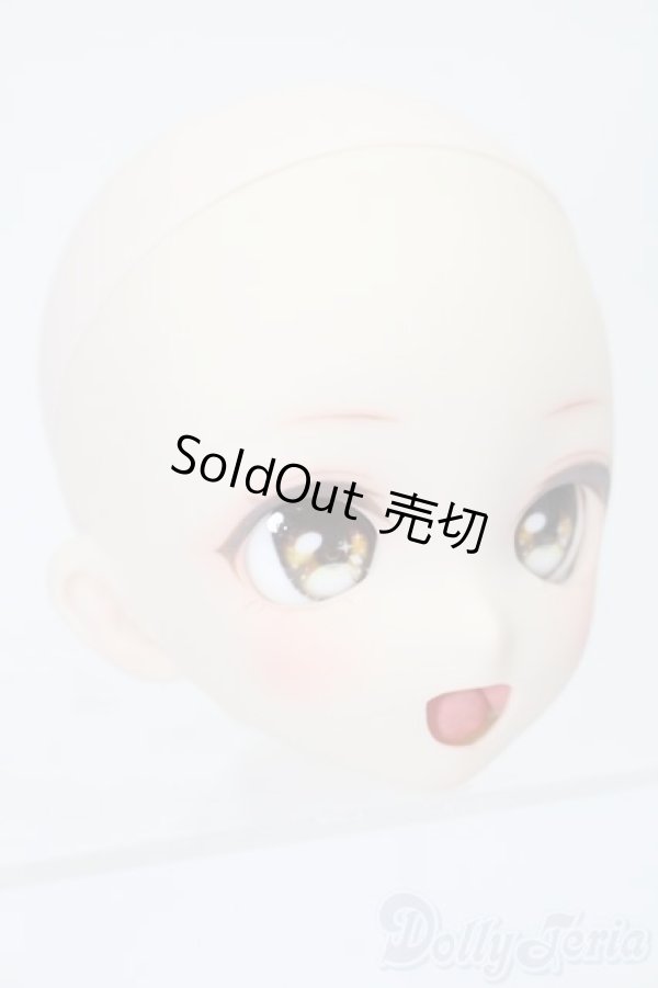 画像3: DD/DDH-10カスタムヘッド S-25-11-02-517-TO-ZS (3)