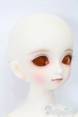 画像3: SDMGIRL/コーディネートモデル:F-96ヘッド S-25-08-10-005-TO-ZS (3)