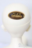画像4: SDMGIRL/コーディネートモデル:F-96ヘッド S-25-08-10-005-TO-ZS (4)