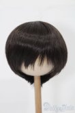 画像1: 8-9inch/ウィッグ S-25-08-10-222-TO-ZS (1)