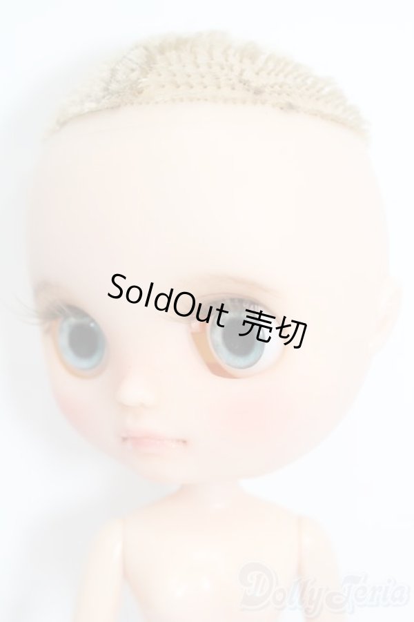 画像3: ミディブライス/カスタム S-26-02-08-440-TO-ZS (3)