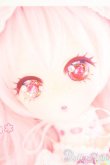 画像1: DDH-01/カスタムヘッド:ぷりまび様製 S-25-08-17-030-TO-ZS (1)