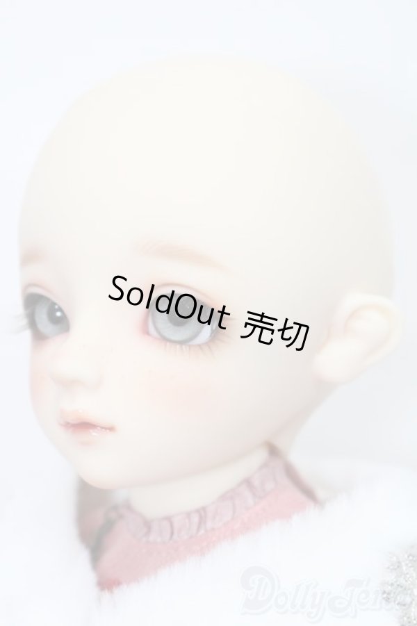 画像3: DearSD/ニコ S-25-08-17-102-SK-ZS (3)