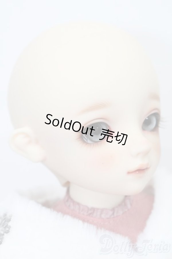 画像4: DearSD/ニコ S-25-08-17-102-SK-ZS (4)