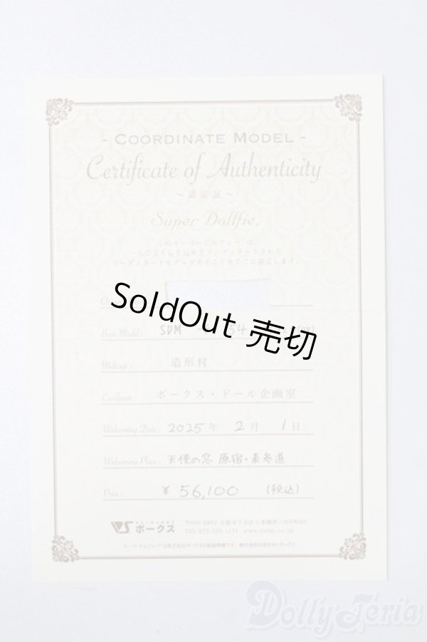 画像8: SDM女の子/コーディネートモデル:F-54 S-25-08-24-001-SK-ZS (8)