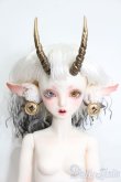 画像1: Gem of Doll/Olita Animal Ver.  S-25-08-17-012-SK-ZS (1)