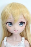画像1: MDD/ドリームチョイス:DC-H-30 S-25-08-17-008-SK-ZS (1)