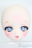 画像1: DD/DDH-01:カスタムヘッド S-25-08-17-031-SK-ZS (1)