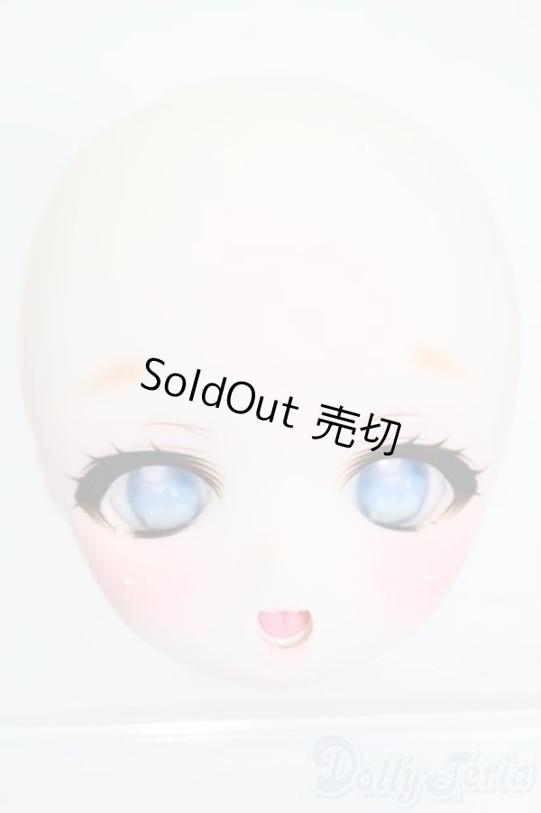 画像1: DD/DDH-01:カスタムヘッド S-26-01-18-371-SK-ZS (1)