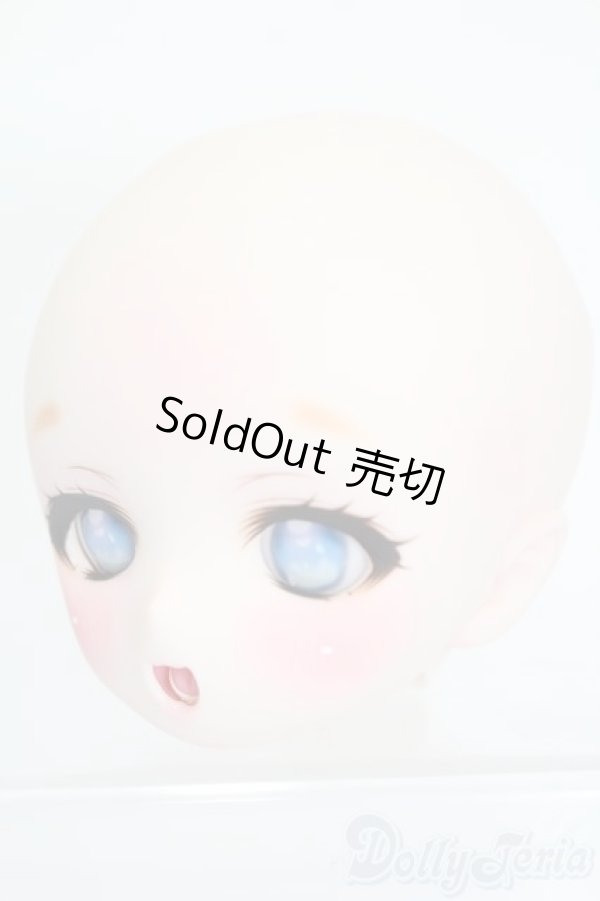 画像2: DD/DDH-01:カスタムヘッド S-26-01-18-371-SK-ZS (2)