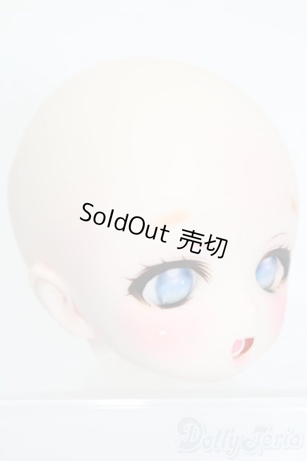 画像3: DD/DDH-01:カスタムヘッド S-26-01-18-371-SK-ZS (3)