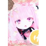 画像: DD/DDH-01:ゆずぽん様カスタム S-25-08-17-021-SK-ZS