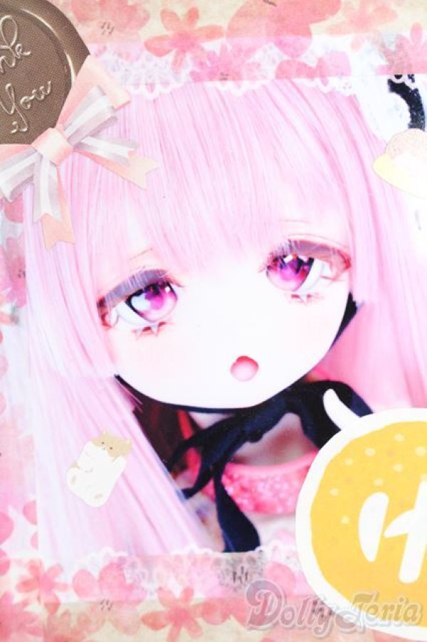 画像1: DD/DDH-01:ゆずぽん様カスタム S-25-08-17-021-SK-ZS (1)