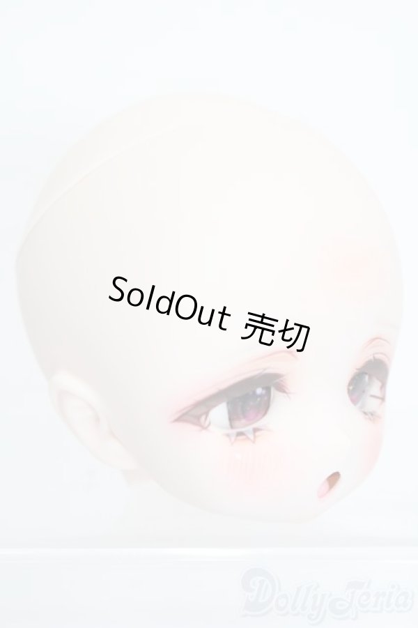 画像4: DD/DDH-01:ゆずぽん様カスタム S-25-08-17-021-SK-ZS (4)