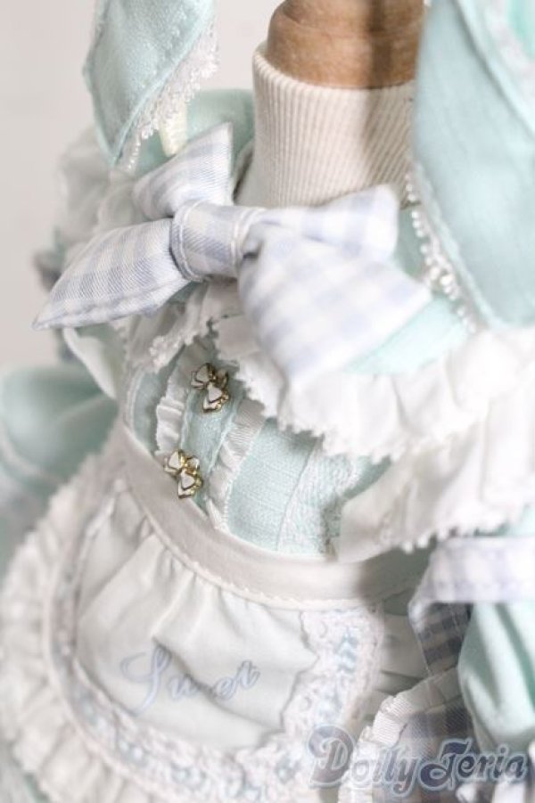 画像4: SDM＆MSD/OF:衣装セット S-25-10-12-493-YB-ZS (4)