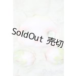 画像: CQTOYS×LOLOAN(ロロアン) デザートシリーズ S-26-02-01-533-SK-ZS