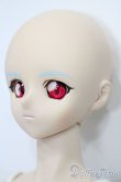 画像3: DD/綾波レイ S-25-08-17-104-TO-ZS (3)