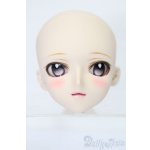 画像: DD/DDオプションヘッド メイク済み2012 Ver. DDH-05 アイホールオープン S-25-08-17-114-TO-ZS