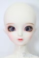 画像: Dikadoll/Canary S-25-08-17-103-TO-ZS