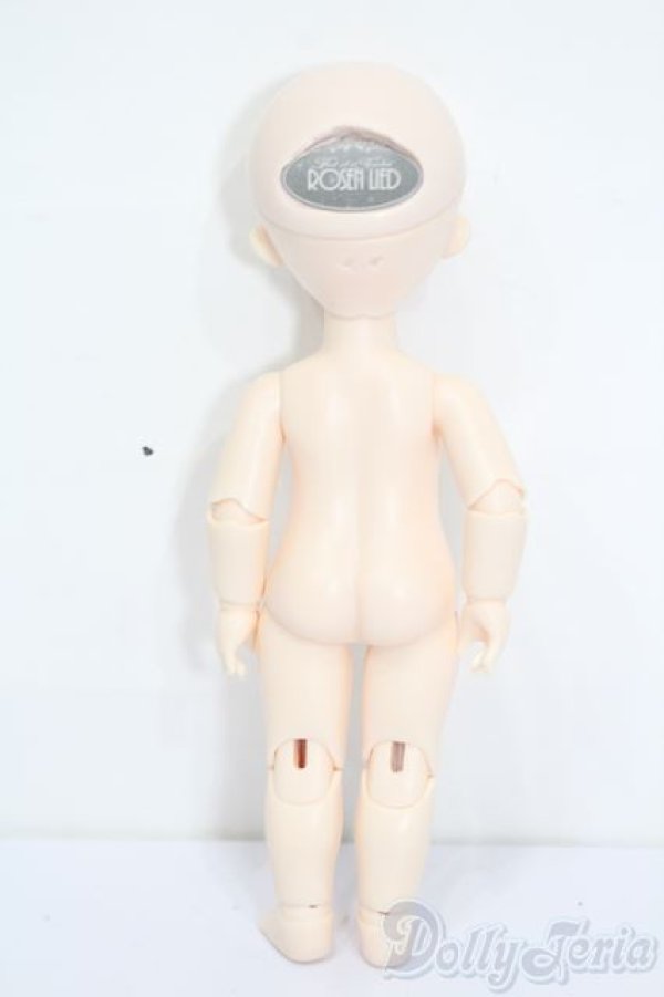 画像6: ROSEN LIED/Monday's Child Chou Cream S-25-11-23-624-TO-ZS (6)