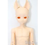 画像: elfinstore/ノアS S-25-08-24-006-YB-ZS