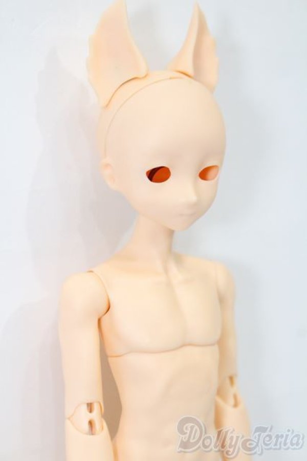 画像3: elfinstore/ノアS S-26-03-01-428-YB-ZS (3)