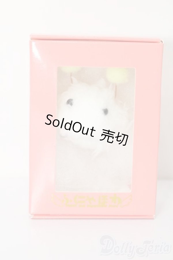 画像1: DD/OF:小物 S-25-08-24-075-TO-ZS (1)