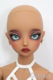 画像2: DOLLFIE ICON/Terra 2019 S-25-08-24-101-TO-ZS (2)
